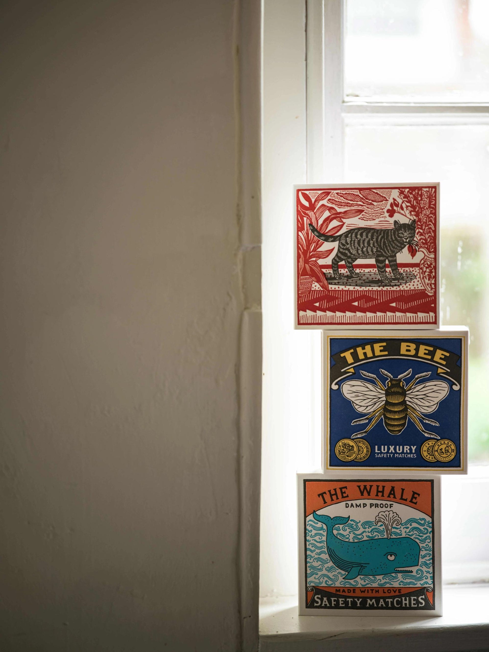 SashaTheCatMatches__3