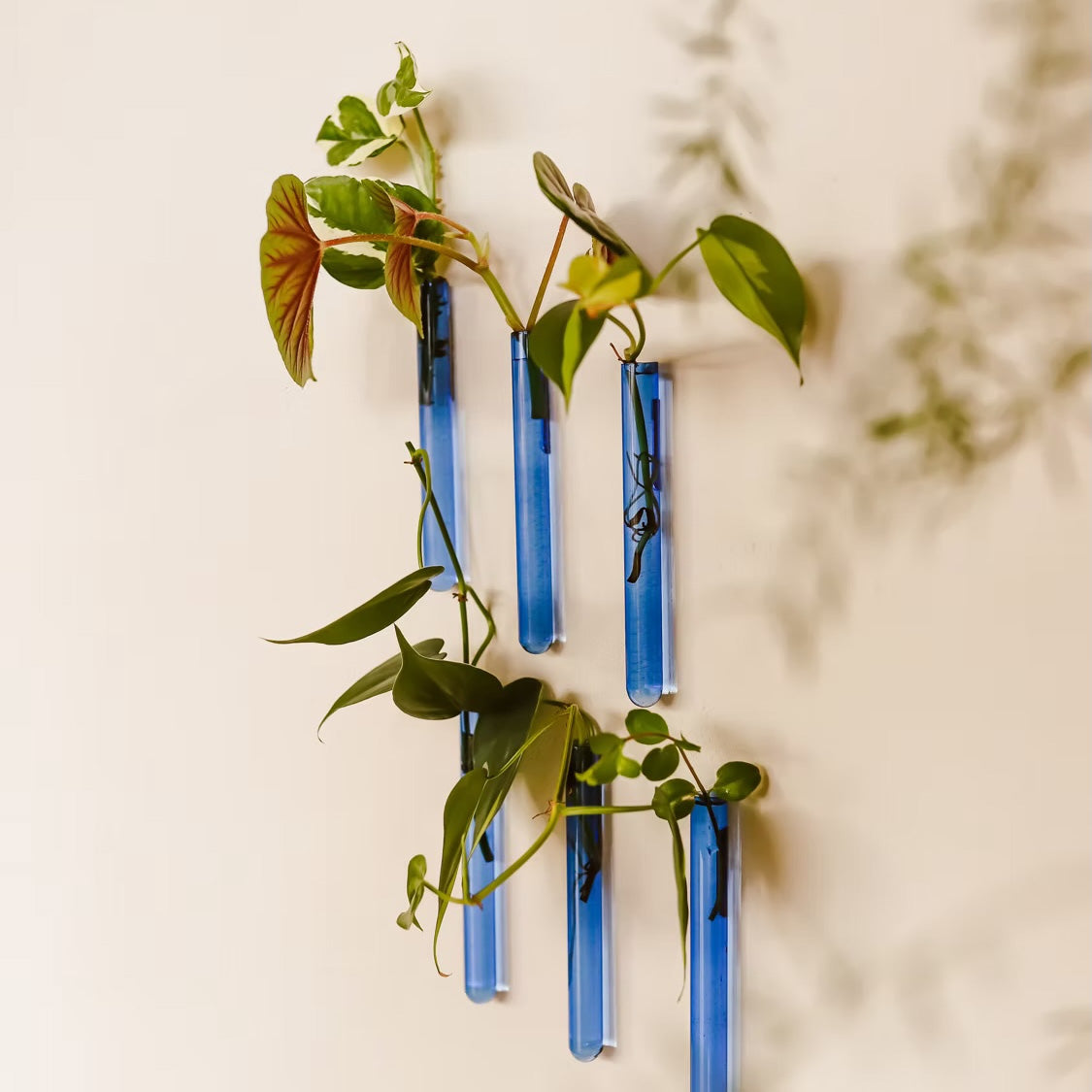 Shop woonartikelen bij LEEF Meppel