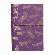 SketchbookDragonfliesDragonfly__1