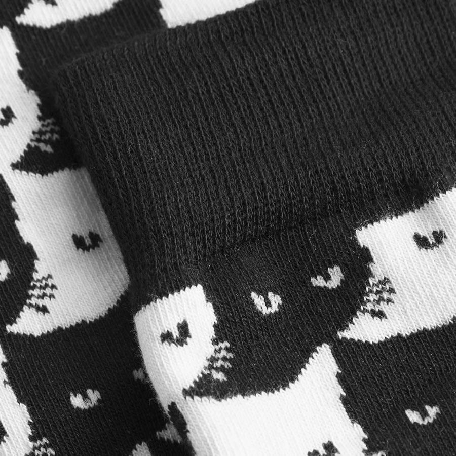 SocksSigtunaPepitaCats__2