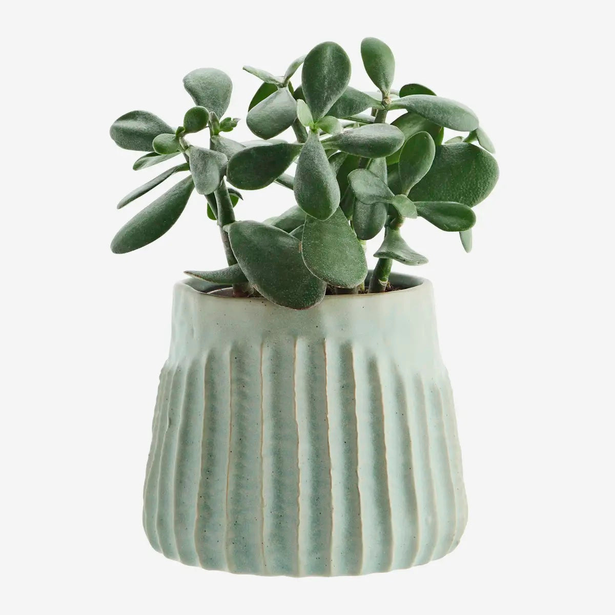 Stoneware flower pot Sage