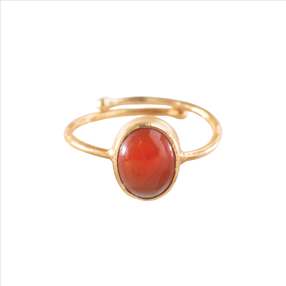 Visionary Carnelian Ring GP Carnelian - LEEF mode en accessoires