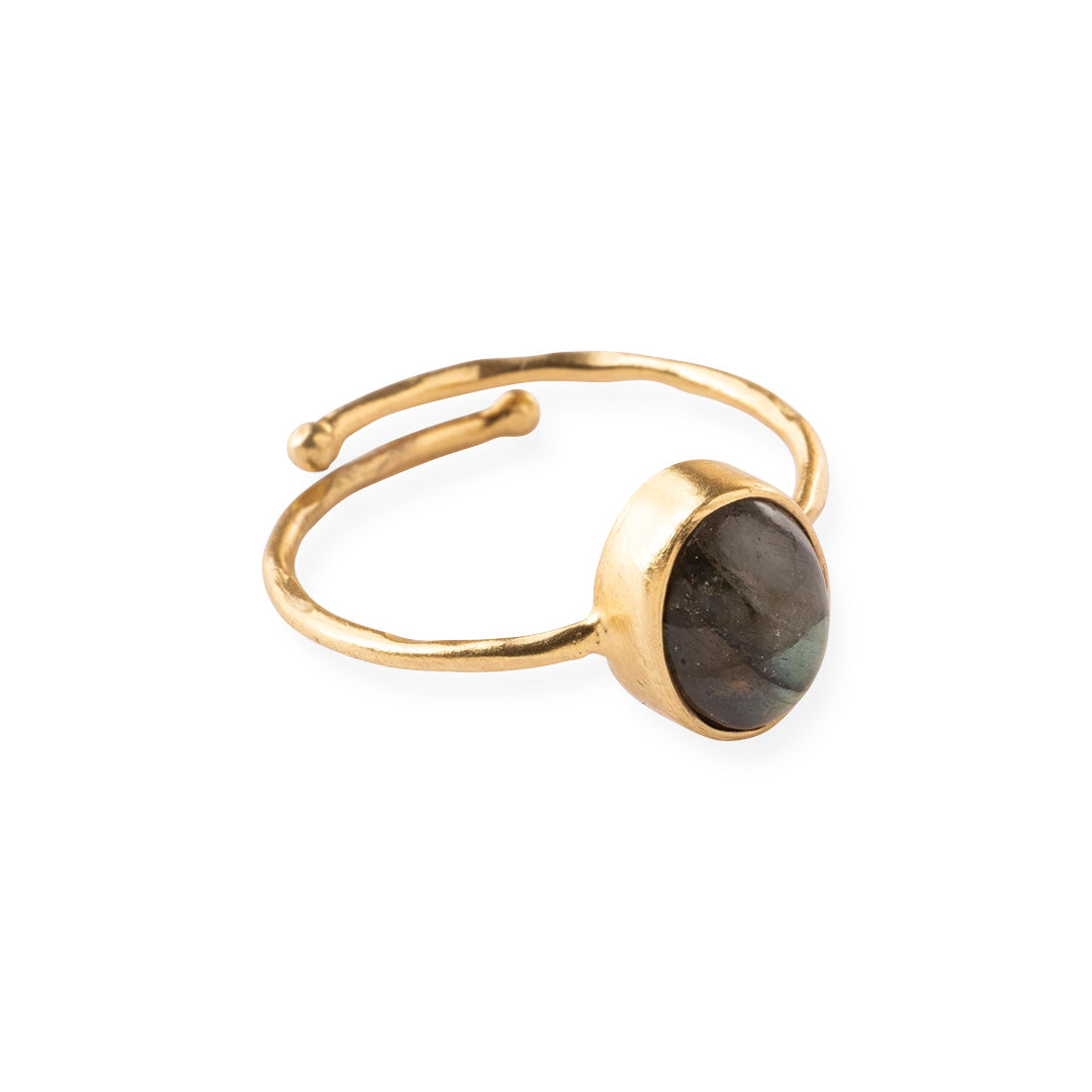 Visionary Garnet Ring SP Garnet - LEEF mode en accessoires