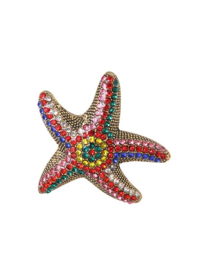 ZEESTERBROCHEMETMULTICOLORISTRASSMulticolori__1