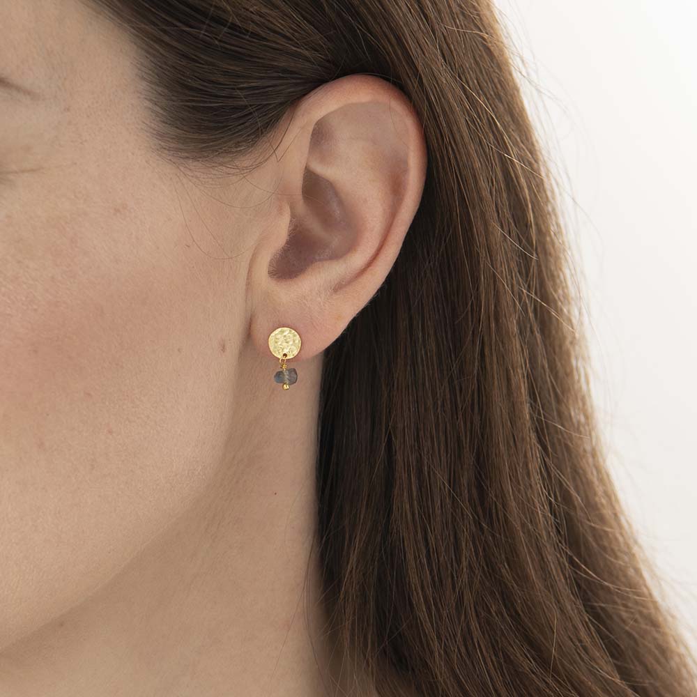 Mini Coin Labradorite Gold Earrings Labradorite - LEEF mode en accessoires