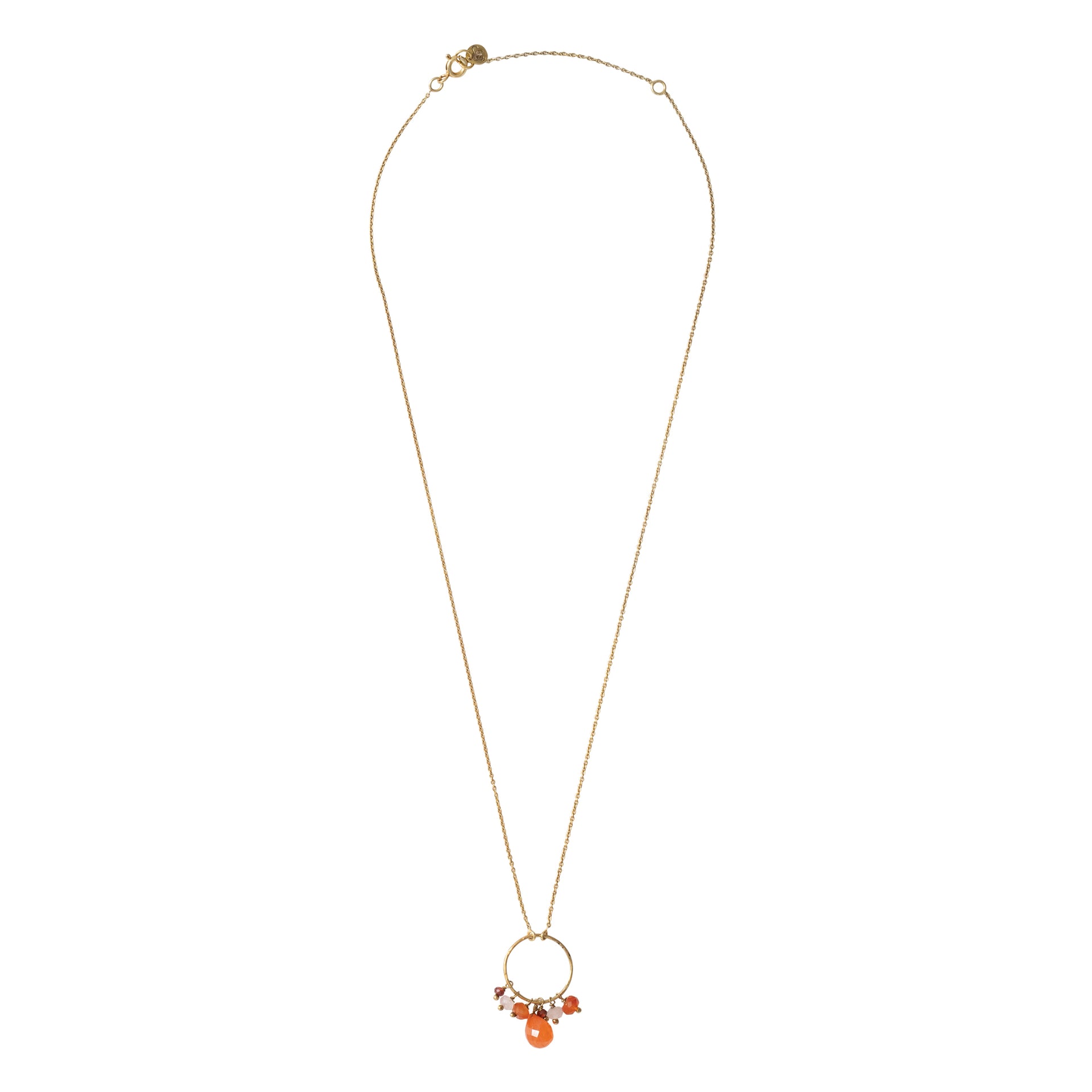 Sparkles Carnelian Mix Gold Necklace Carnelian - LEEF mode en accessoires